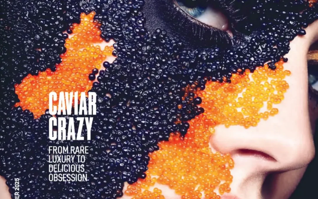 2025-2026 Winter Issue